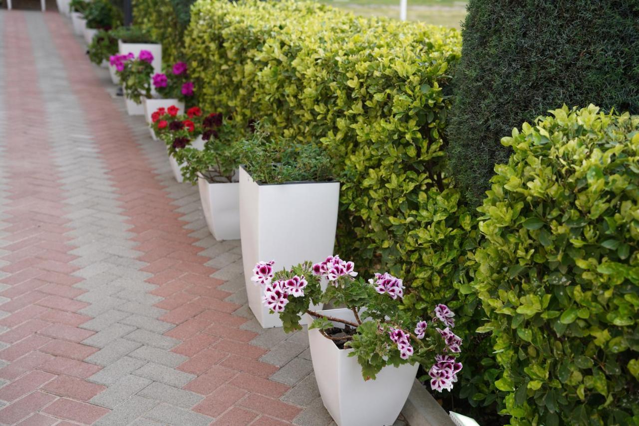 Costa Azzurra Apartment